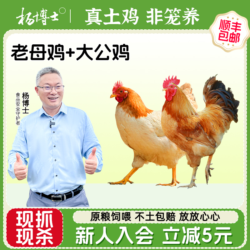 杨博士大公鸡老母鸡组合皖南深山散养走地鸡整只新鲜土鸡柴鸡肉