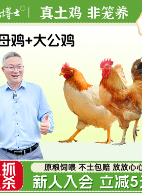 杨博士大公鸡老母鸡组合皖南深山散养走地鸡整只新鲜土鸡柴鸡肉