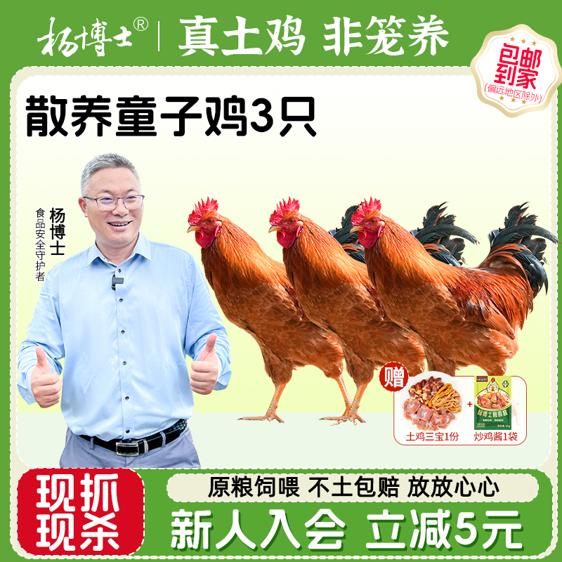 杨博士土鸡童子鸡深山散养原粮饲喂新鲜整鸡现抓现杀土鸡三宝
