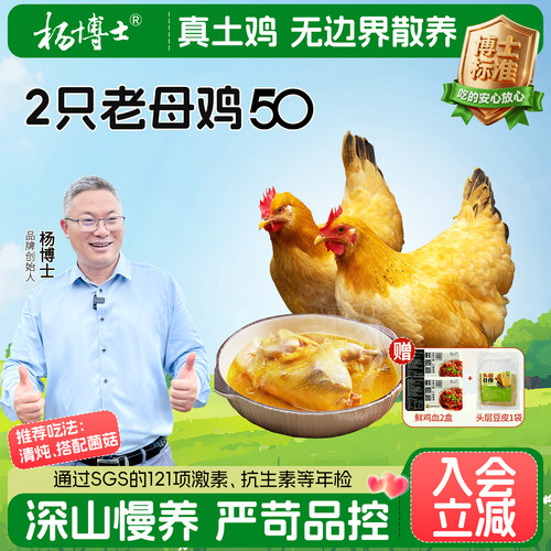 杨博士皖南深山散养土鸡老母鸡