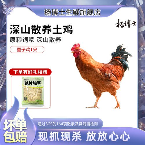 五谷喂养现抓现发顺丰包邮