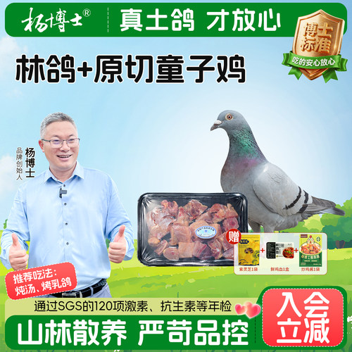 【皖南林鸽+原切童子鸡】杨博士新鲜鸽子肉山林散养切块童子鸡