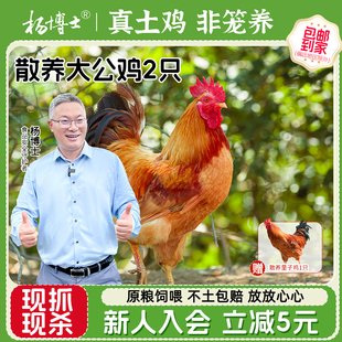 杨博士散养大公鸡童子鸡组合儿童清蒸红烧套餐整只鸡新鲜现杀土鸡