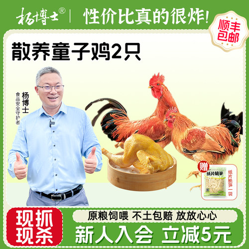 杨博士皖南散养土鸡童子鸡