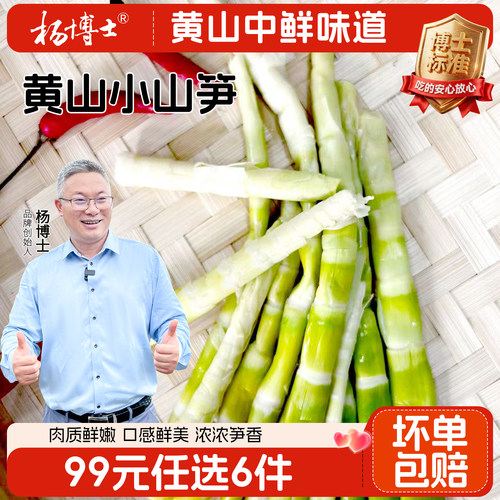 【99专区】杨博士小笋尖皖南黄山特产清水竹笋小山笋深山新鲜食材
