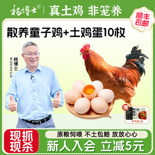 杨博士皖南深山散养童子鸡