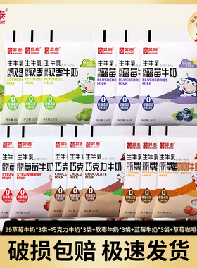 【首单立减】升泰丹东九九草莓牛奶巧克力软枣蓝莓咖啡零蔗糖组合