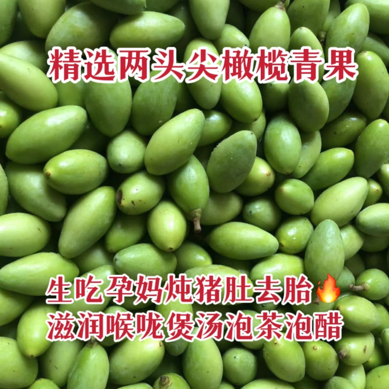 新鲜采摘青橄榄青果250克生吃煲汤泡茶炖猪肚