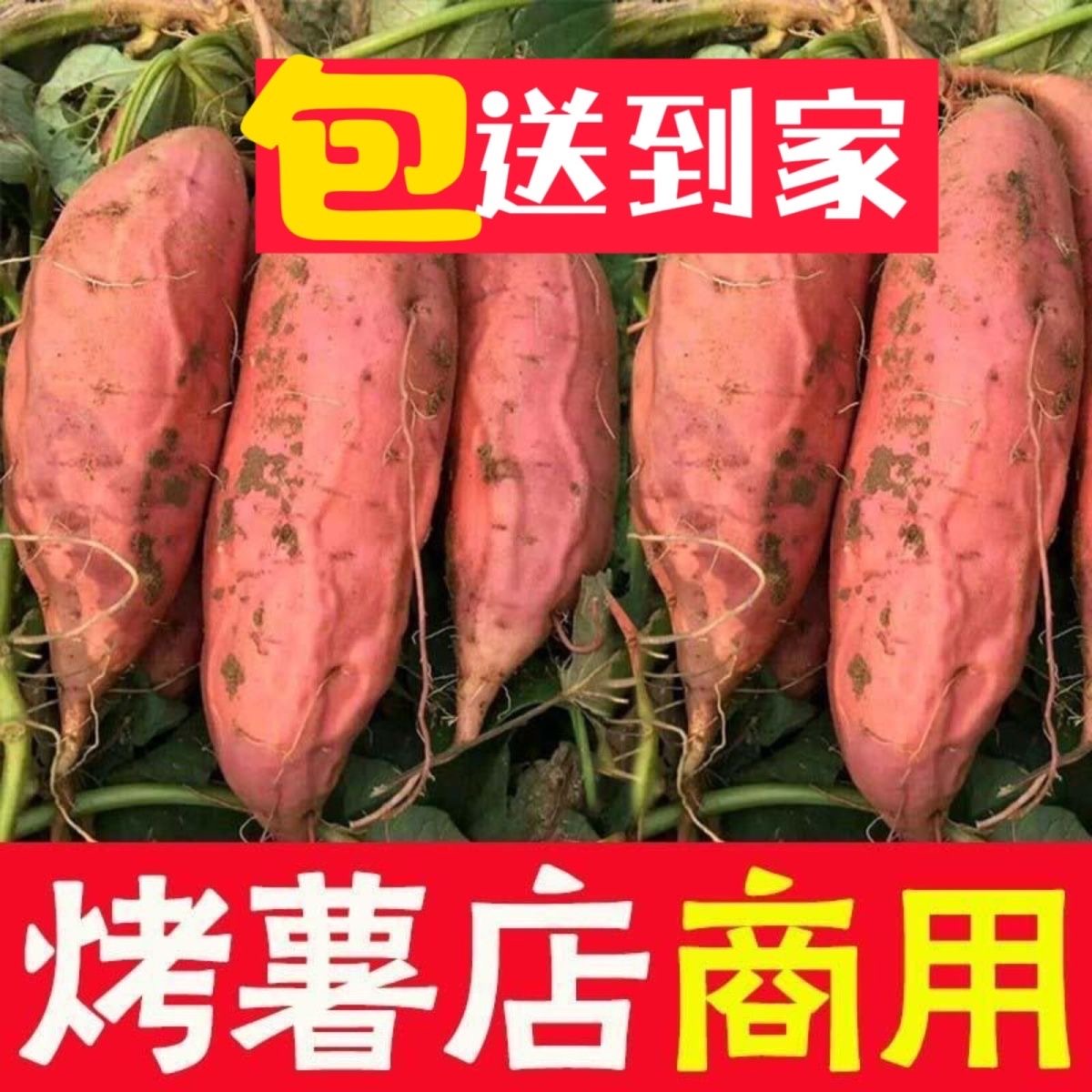 正宗烟薯25号糖心流油