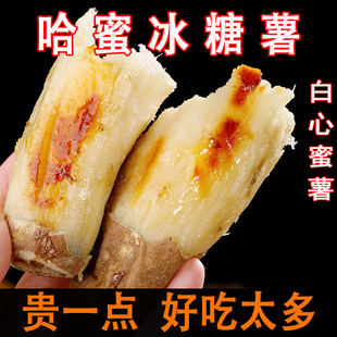 山东哈密冰糖薯新鲜白心红薯蜜薯糖心香甜番薯白瓤山芋沙地地瓜