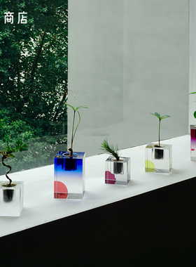卷宗商店 |  AOI CUBE绿植玻璃摆件设计感装饰四叶草生日礼物