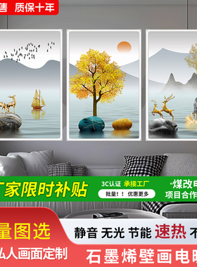 石墨烯碳晶墙暖壁画取暖器壁挂电暖器电热板家用节能电暖画发热片