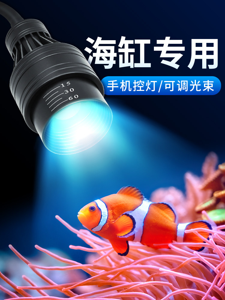 海缸灯led海水鱼缸灯水草小丑鱼珊瑚专用可调焦蓝白补光造景夹灯
