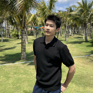 马克斯星球 老钱风高级感海鸥领翻领冰丝针织短袖男夏季简约上衣