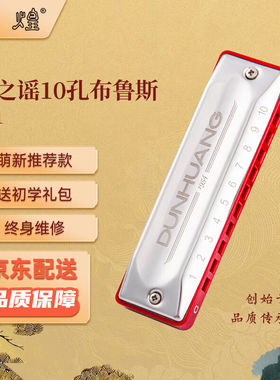 敦煌煌之谣10孔布鲁斯口琴Y01红色C调初学推荐可免费刻字定制