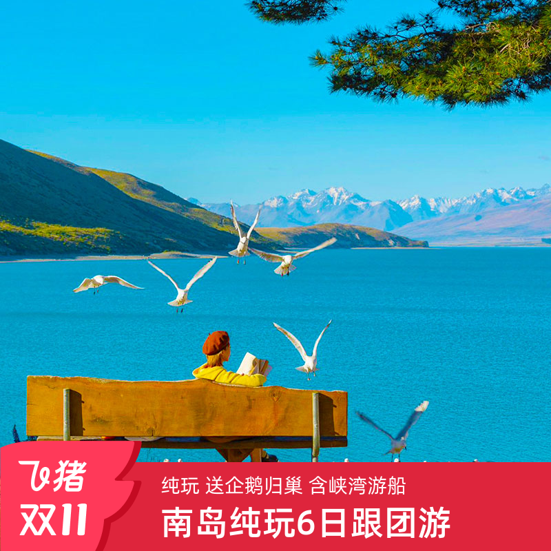 22人中团全景游，连住2晚4星皇后镇酒店，赠送蓝企鹅归巢体验 网红导游带团好玩又有趣，库克山星空湖区 南岛全精华高性价纯玩中文团，峡湾游船观企鹅 皇后镇享自由活动，南岛全精华高性价纯玩中文团，峡湾游船观企鹅