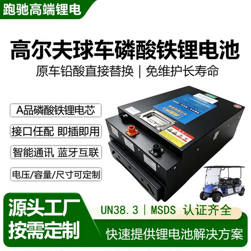 高尔夫球车观光车磷酸铁锂电池
