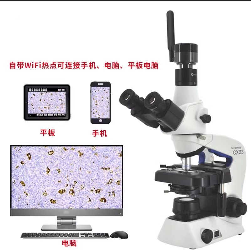 显微镜摄像头电子目镜无线WIFI拍照测量高清图像处理软件连接手机