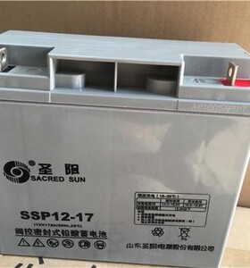 圣阳铅酸蓄电池SP12-10012V200AH150A100AH65AH38AH24A17A12AH7AH