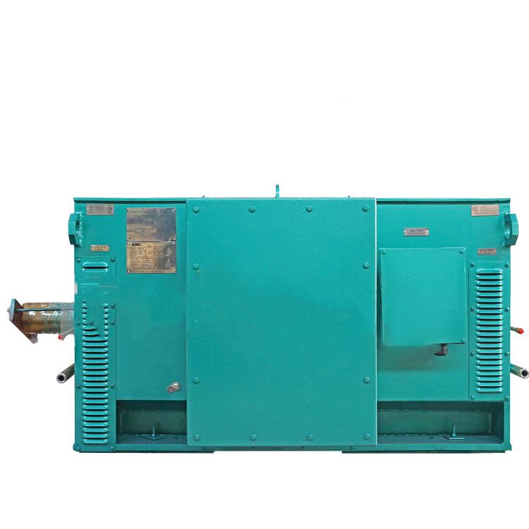 新疆压电机-Y4Y4501-250-25Y4012二极35W10V5西安西玛电机厂
