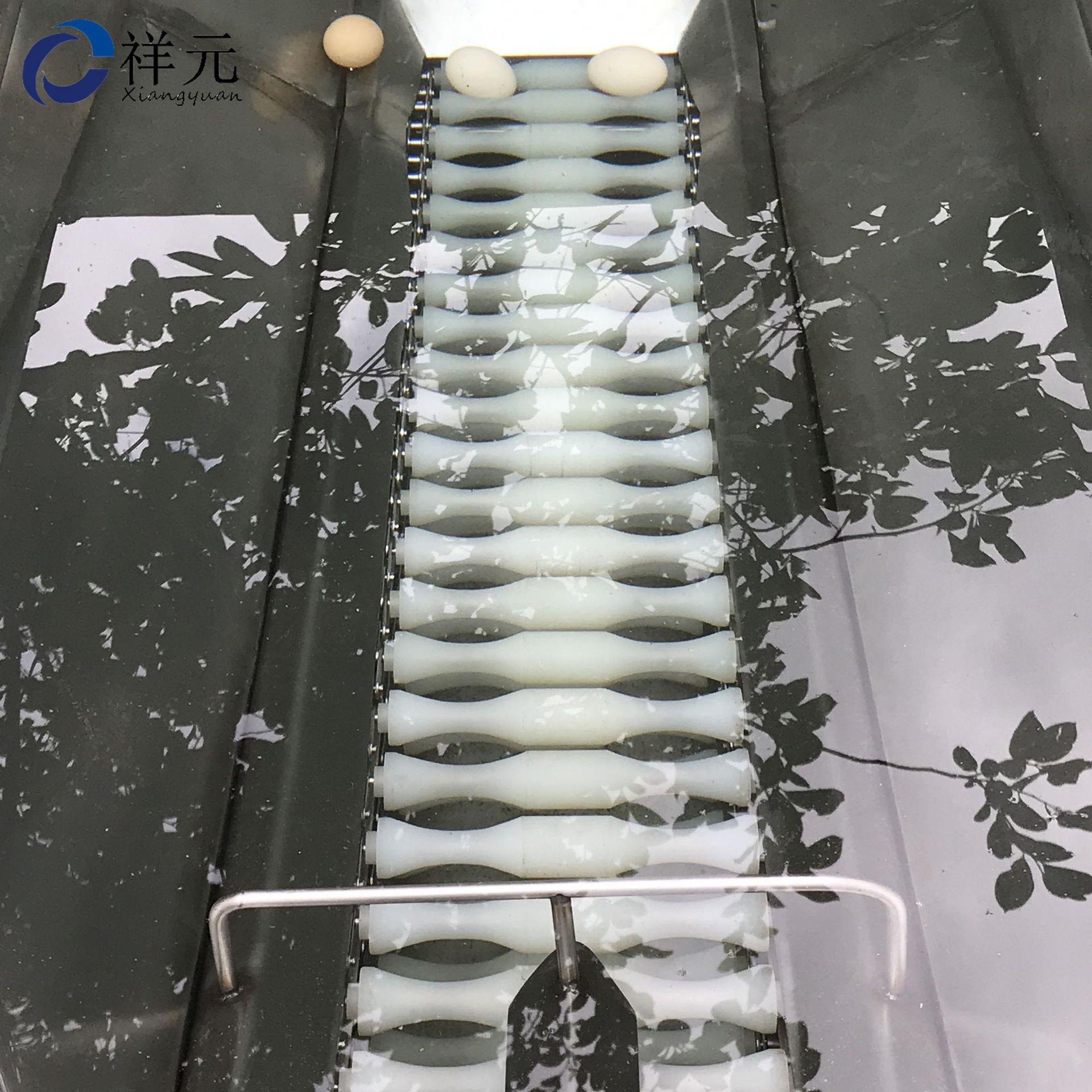 鸡蛋洗流水线鸡蛋PVQ清洗清风洗干机鹌鹑蛋清洗机鸡蛋的机器
