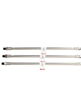 Dionex IonPac AG26毛细管柱分析与保护 戴安保护柱 076023赛默飞