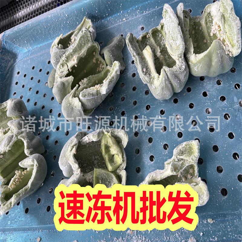 大工业速272冻家机水产海整鲜产型线速冻设备厂电话