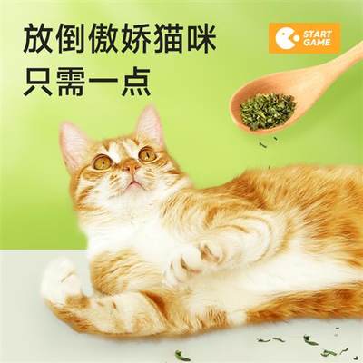 宽福猫薄荷球罐装棒棒糖食用猫饼干猫咪零食幼猫化毛猫草喷雾用品