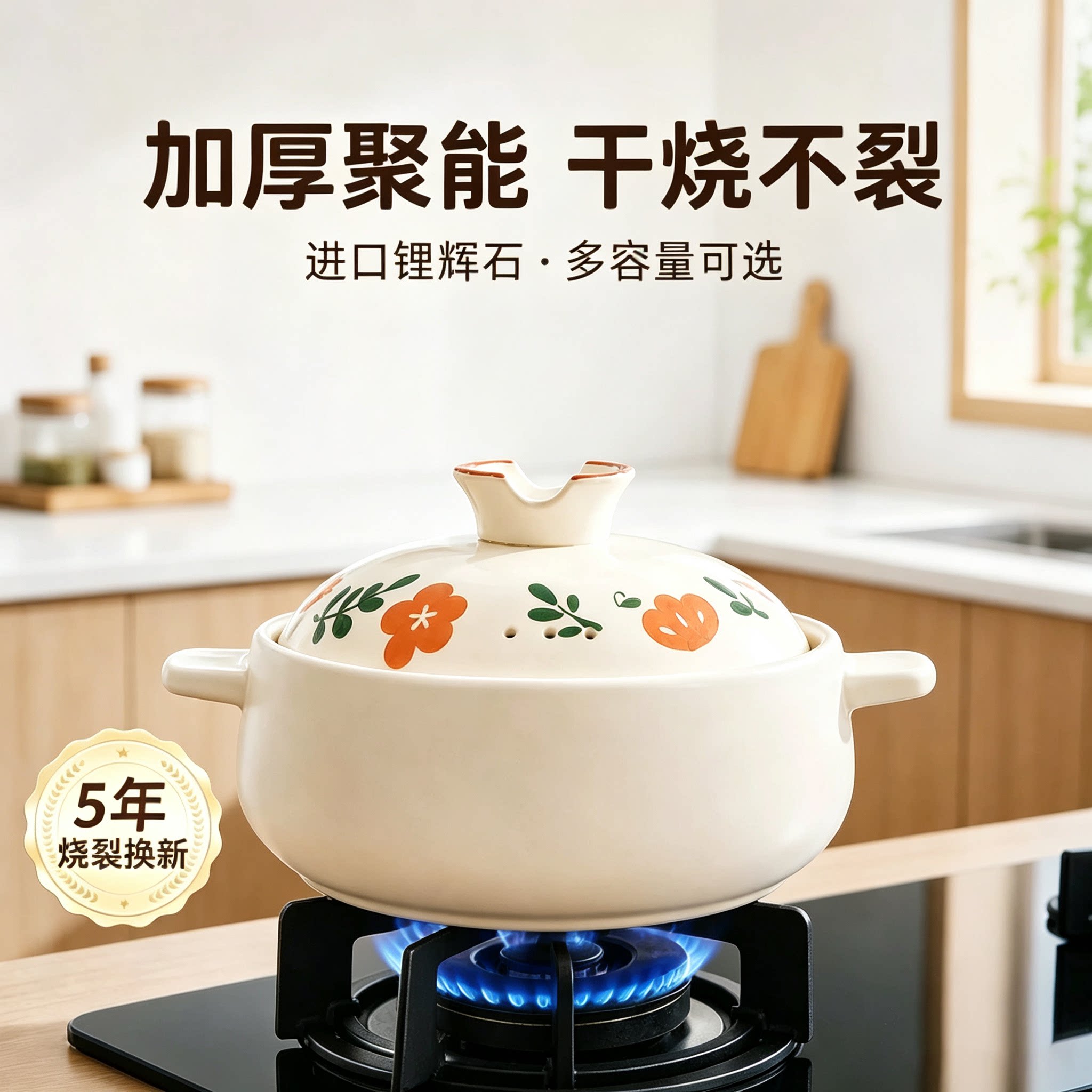 燃气灶专用陶瓷砂锅干烧不裂图片