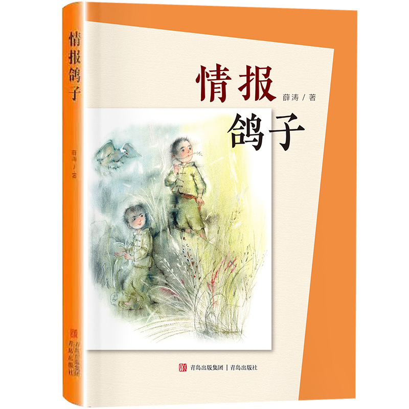 少年满山系列：情报鸽子