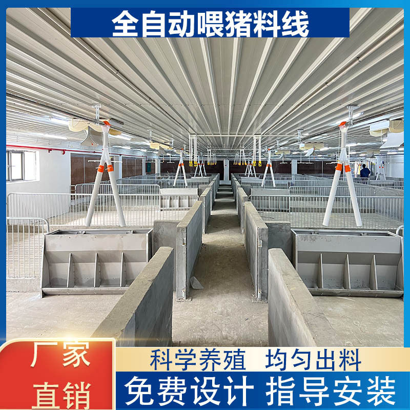 料线养殖场 自动喂料设备整套定制服务