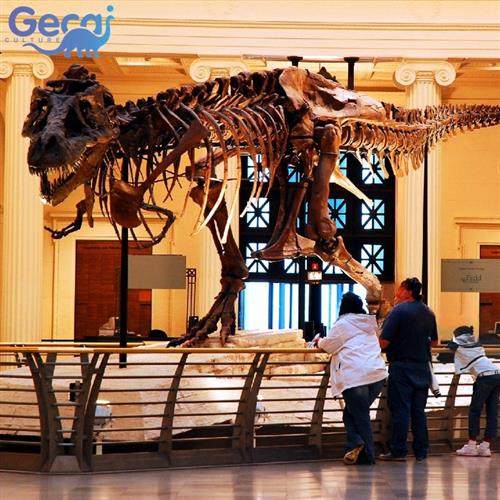 恐龙古生物玻璃钢化石模型商场展览儿童科普展展品定制厂家
