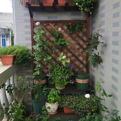 阳台花架落地式多层阶梯花架子室内客厅网格置物花盆架防腐木花架