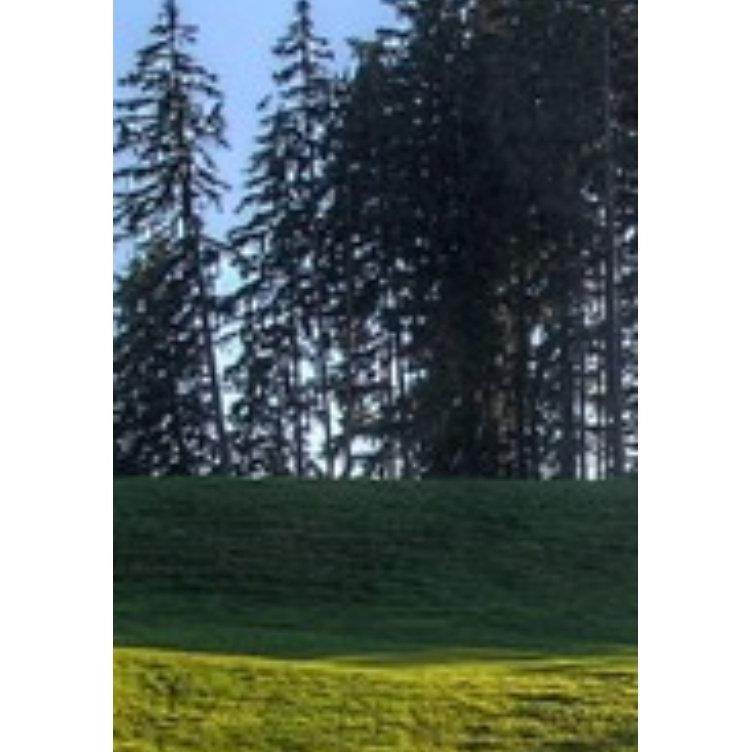 这是一家感情店素材12345,商务/设计服务,设计素材/源文件,淘宝优惠券,粉丝福利购,淘宝优惠卷