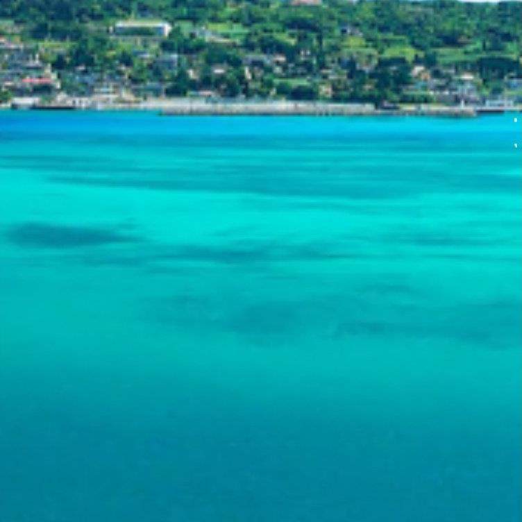 这是一家感情店一分钱素材1