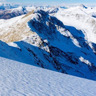 这是一家感情店素材12345