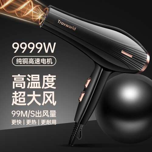 德国电吹风机家用大功率发廊专用