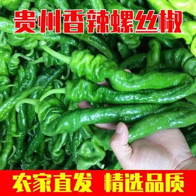 贵州螺丝椒新鲜现摘5斤农家皱皮辣椒蔬菜特辣青椒辣子鸡薄皮辣