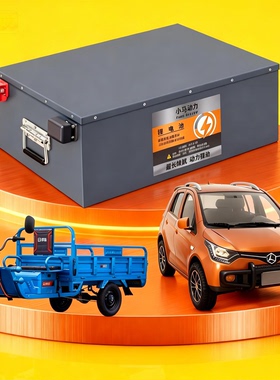 电动车锂电池48v伏三四轮车低速四轮车60v72v100ah120安电瓶