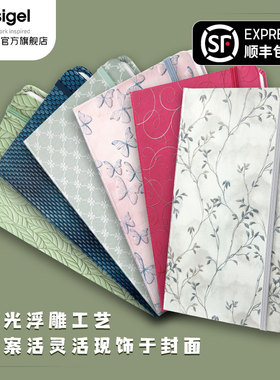 德国进口西格尔Sigel硬面笔记本本子2025年新款高颜值办公商务记事本A5手帐本A6随身小本子