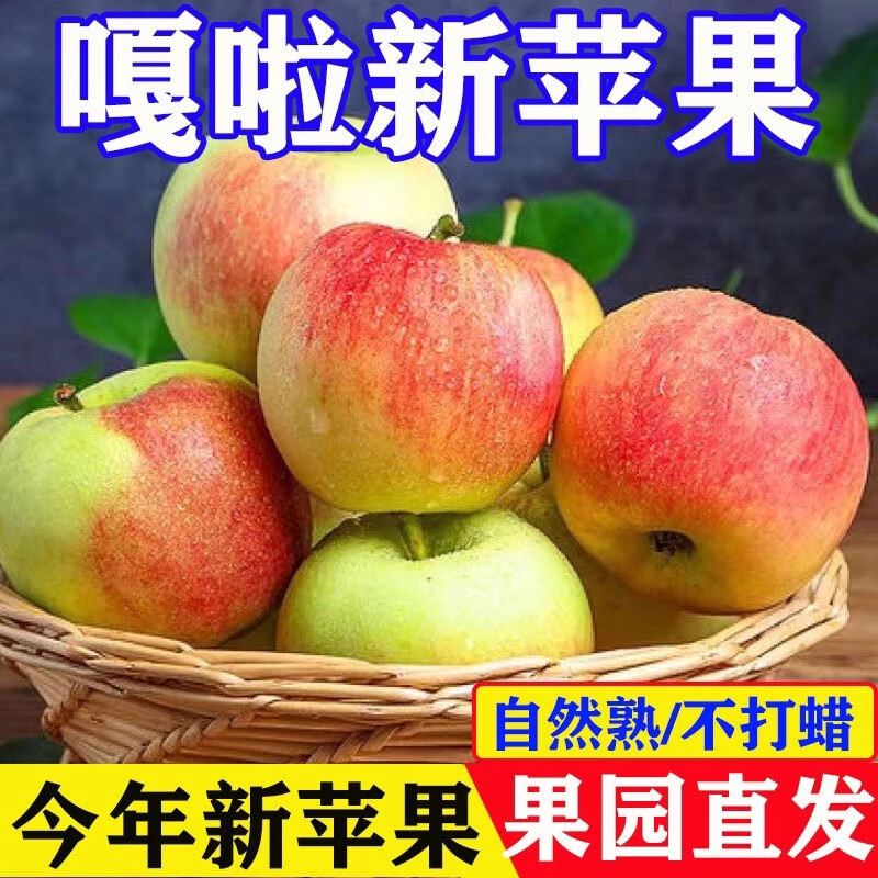 山西嘎啦苹果新鲜水果红富士苹果当季整箱嘎啦果冰糖心丑青小平果