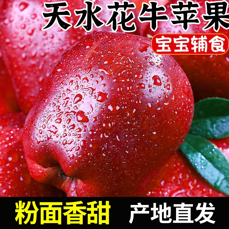 花牛苹果甘肃天水新鲜水果当季正宗红蛇粉面丑果整箱精选大果花牛