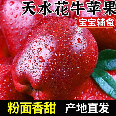 花牛苹果甘肃天水新鲜水果当季正宗红蛇粉面丑果整箱精选大果花牛