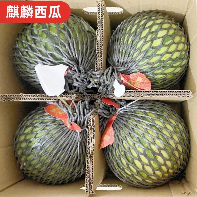 正宗云南麒8428美都麒麟西瓜脆甜冰糖水果应季现摘西瓜拍4个整箱