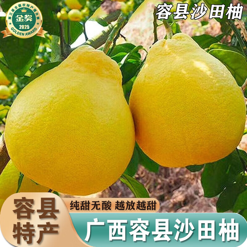 广西沙田柚新鲜当季柚子纯甜柚蜜柚白心柚水果整箱5/9斤可选顺丰