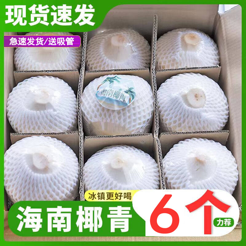 正宗海南椰青新鲜椰子当季热带水果6个装孕妇水果可做椰子鸡椰汁