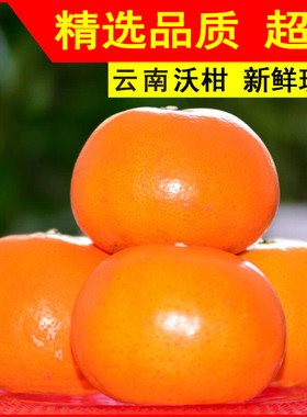 正宗沃柑新鲜柑皇帝沃柑柑橘桔水果甜薄皮桔子柑橘大果云南大沃柑