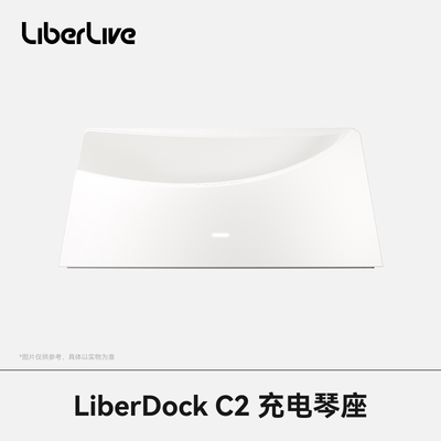 LiberDock C2 充电琴座 吉他底座