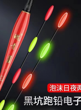 无铅自立夜光漂醒目豆电子跑铅漂日夜两用大物黑坑青鱼抗流水漂