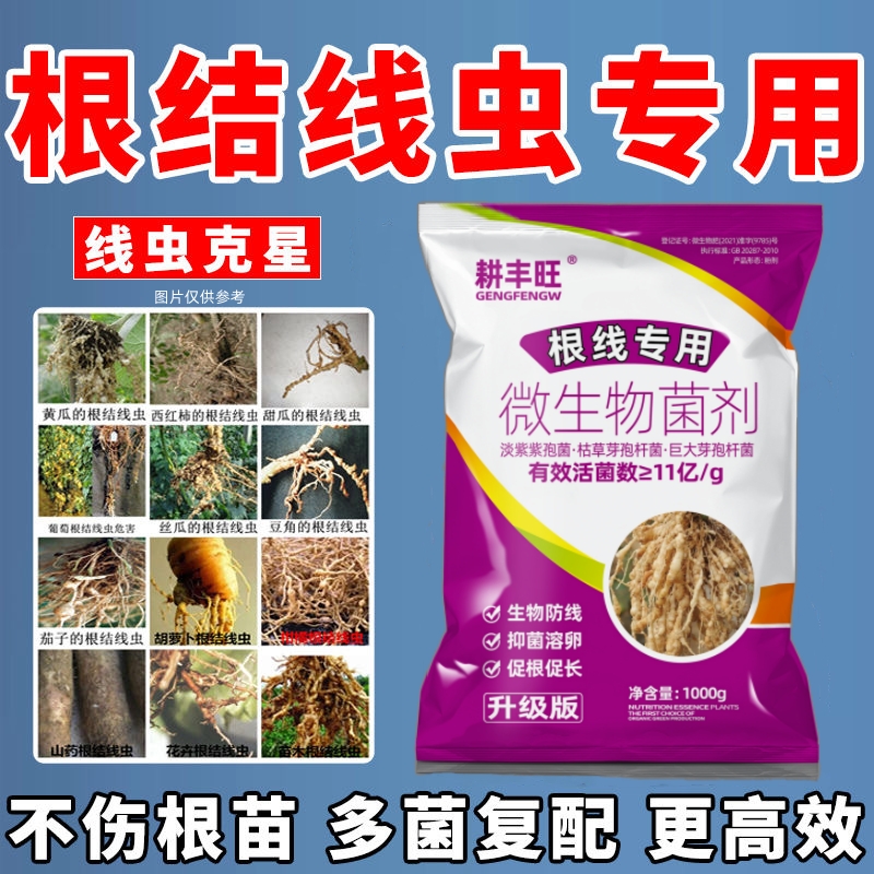 根结线虫专用药淡紫紫孢菌淡紫拟